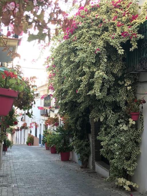 Appartamento Casa Maria Estepona Esterno foto